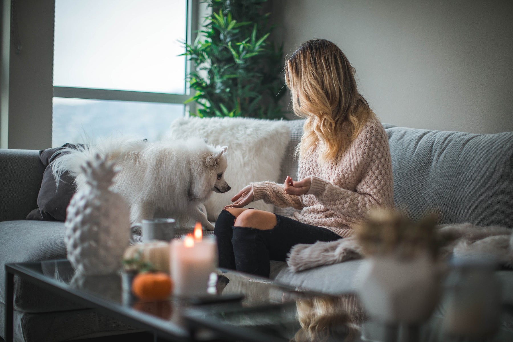 10 Scents that Will Make Your Home Smell Like a Hotel Lobby