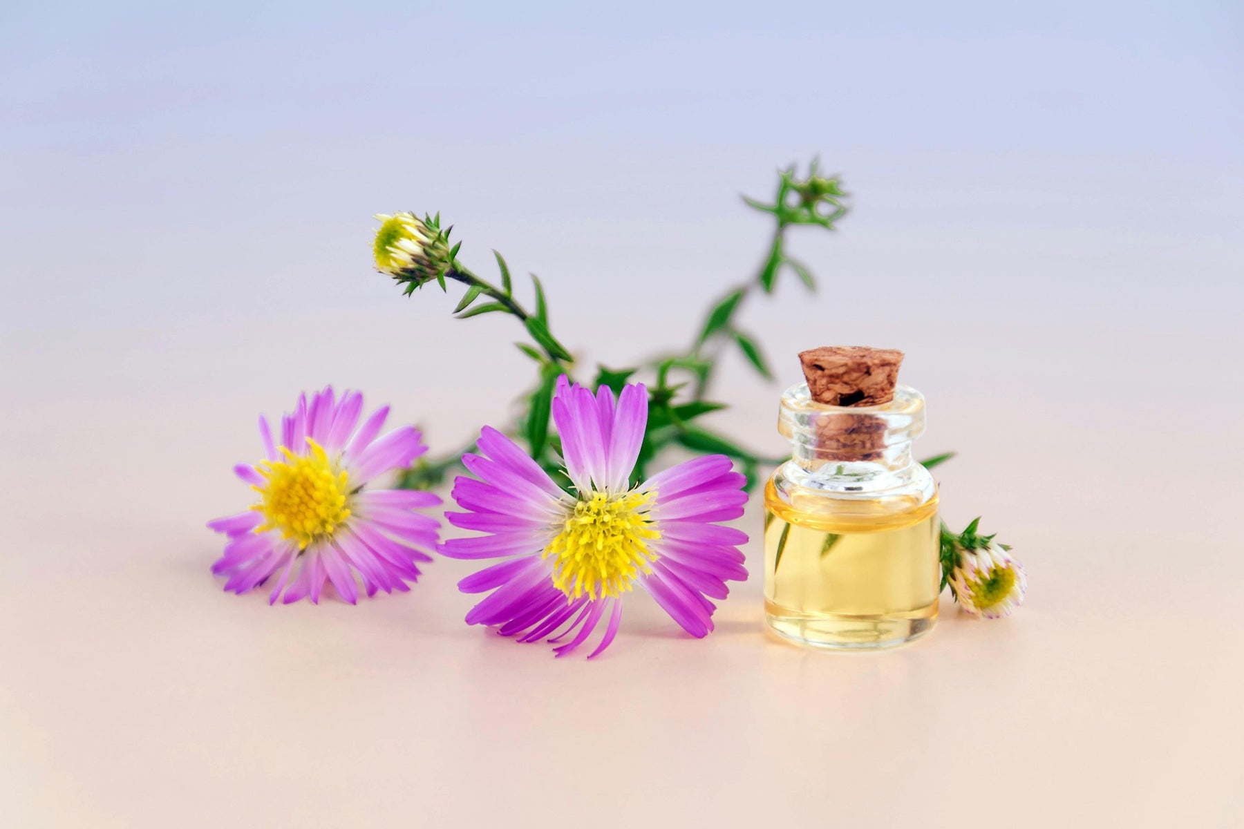 From Winter Warmth to Spring Fresh: How to Transition Your Home Fragrance