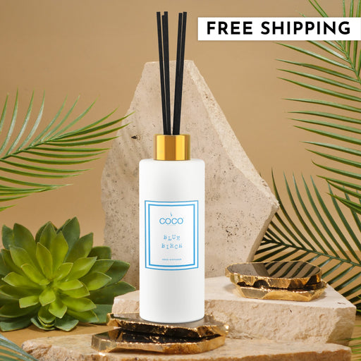 5oz Blue Birch Reed Diffuser