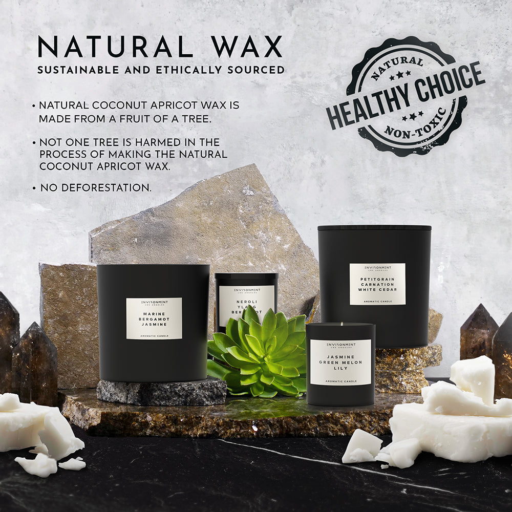 55oz Santal | Tonka | Musk Candle (Inspired by Le Labo Santal® and 1 Hotel®)