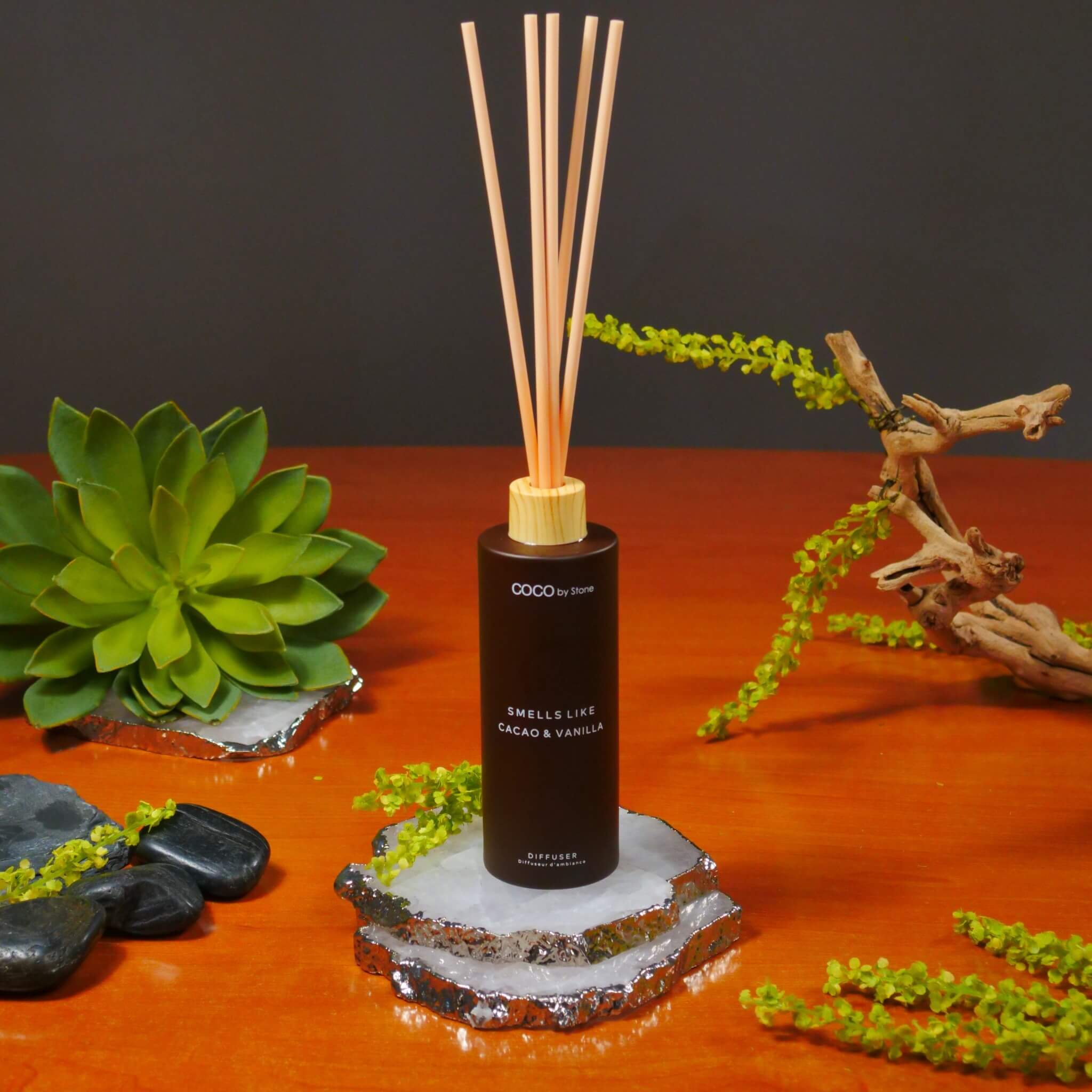 5oz Smells Like Cacao & Vanilla Reed Diffuser