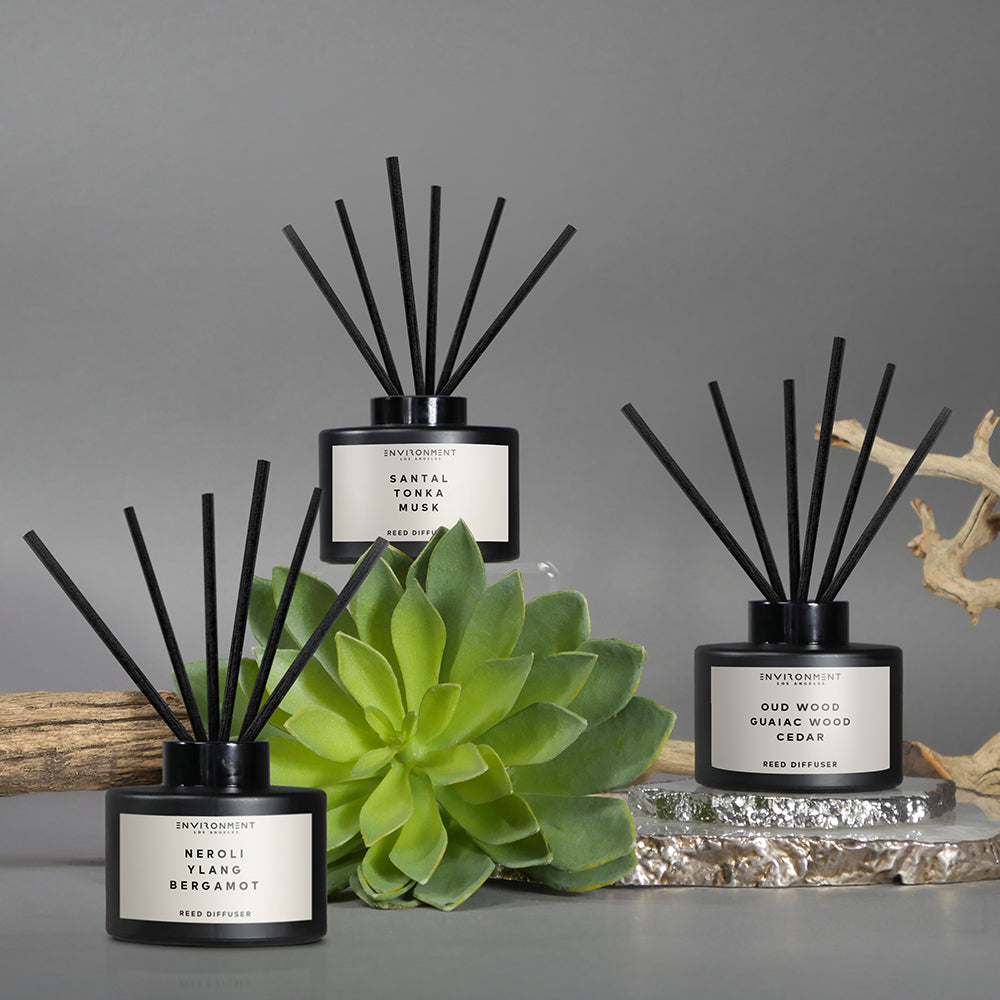 Multiple Scents on rocks and plants