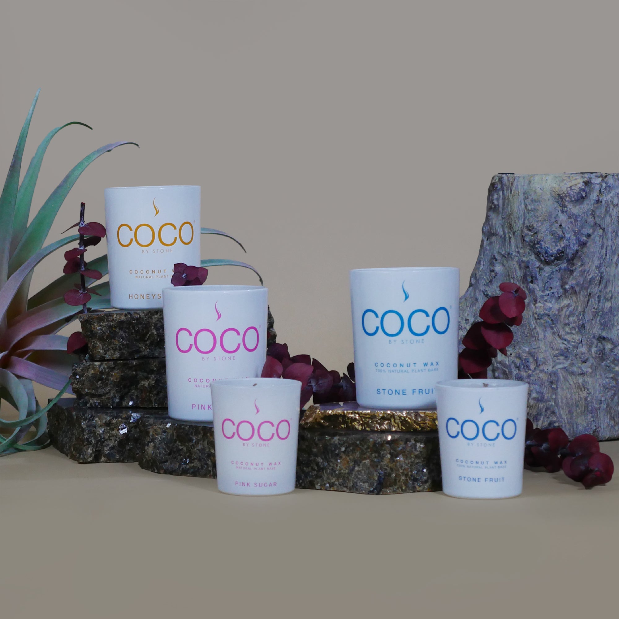 Figuier Natural Coconut Apricot Wax Candle