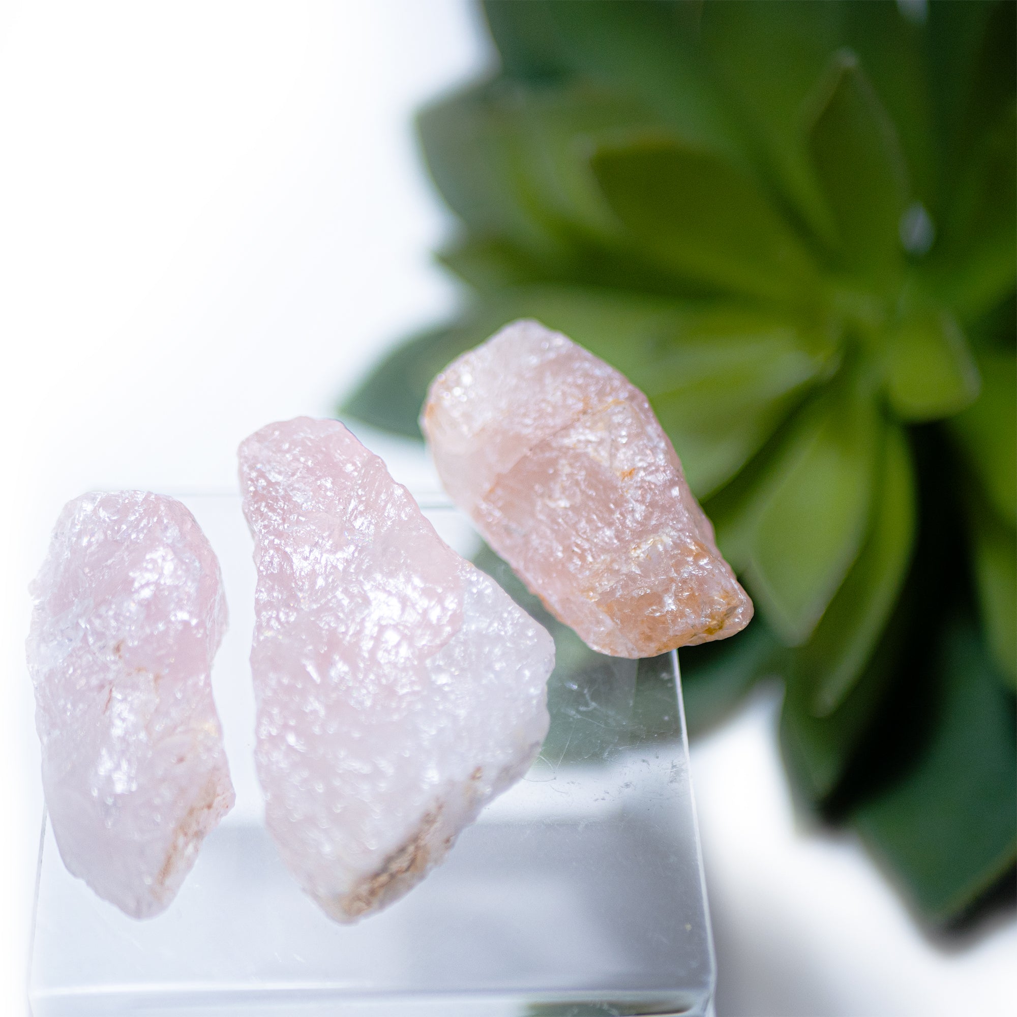 Rose Quartz Points