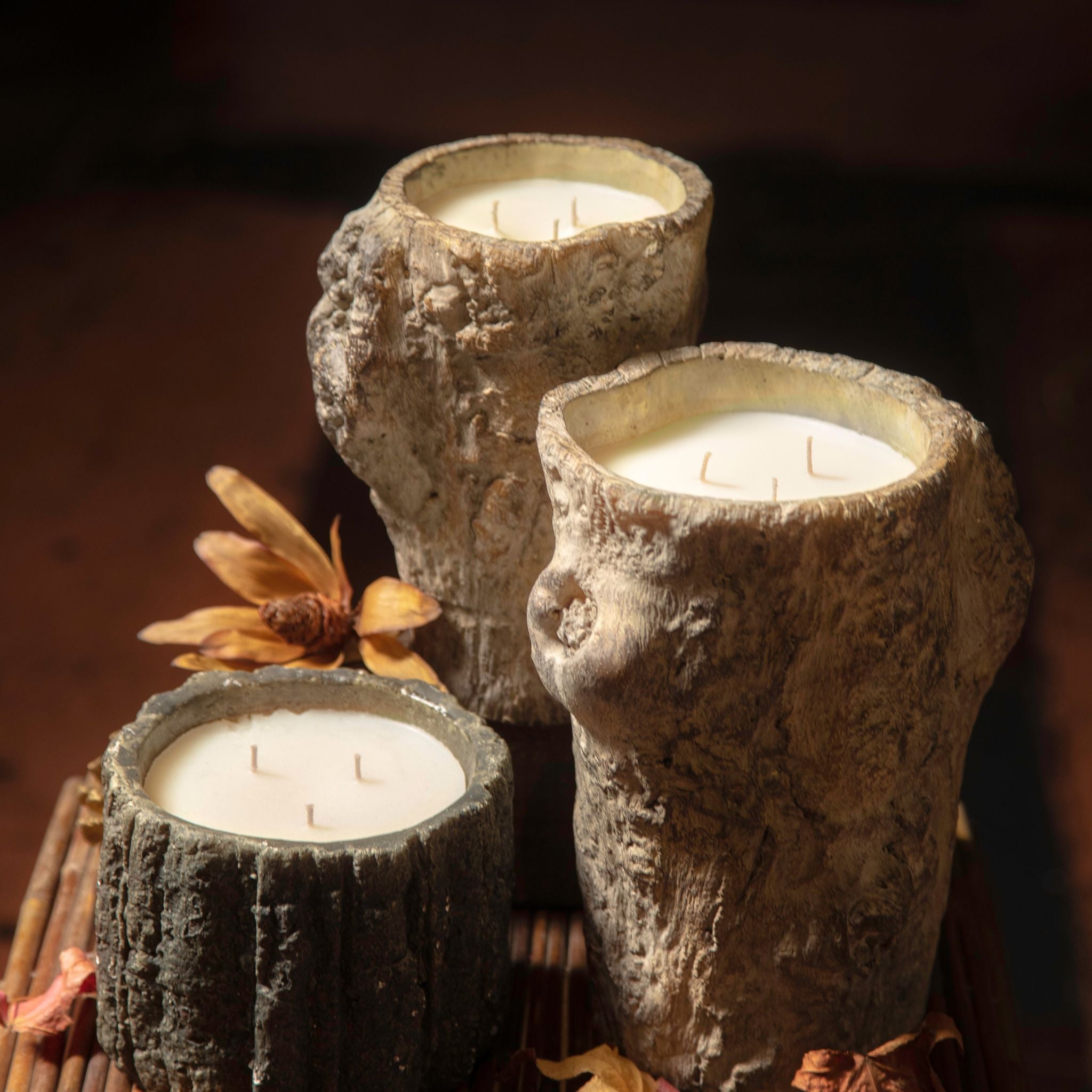 17oz Wood Log Planter Candle
