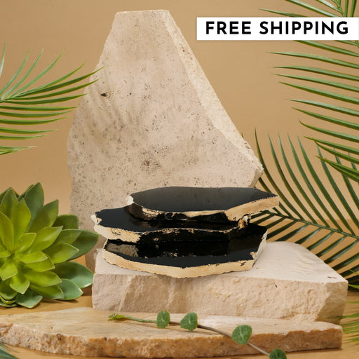 Black Obsidian Coaster (Gold sides)