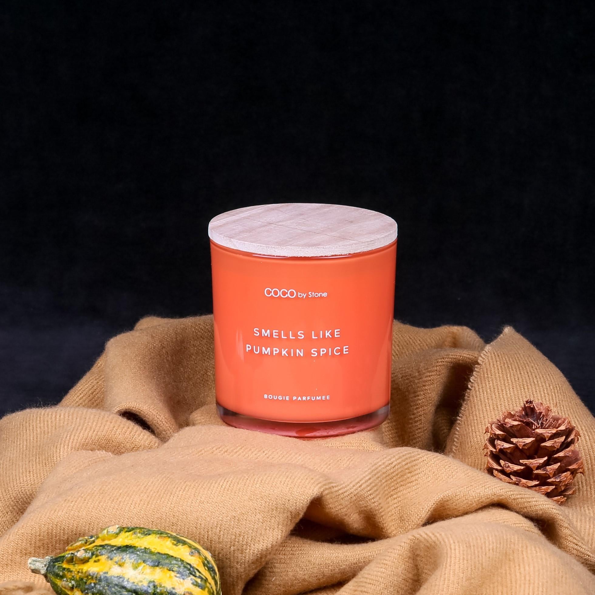 11oz Smells Like Pumpkin Spice Candle