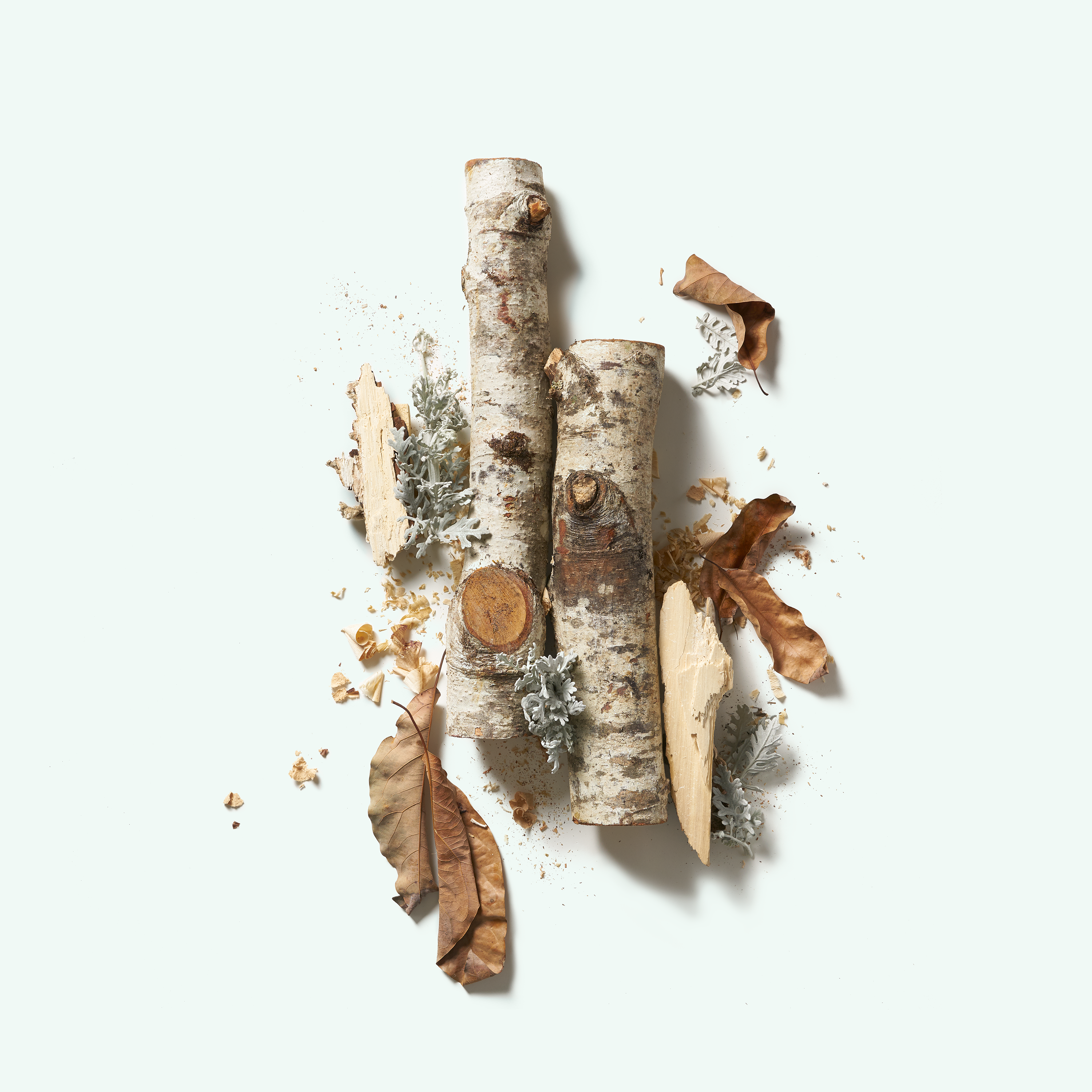 Déodorant Naturel - Santalum